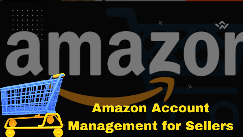 Amazon Account Management for Sellers