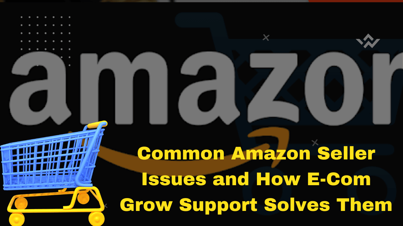Common Amazon Seller Issues and How E-Com Grow Support Solves Them