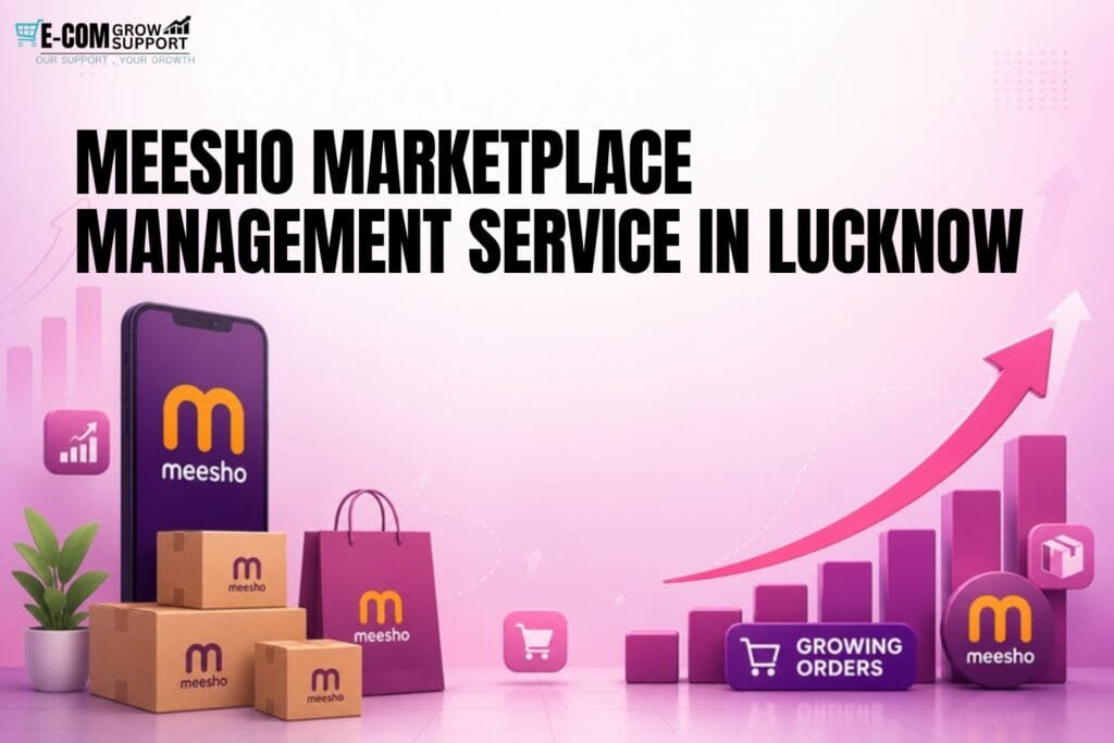 Meesho Marketplace Management in Lucknow