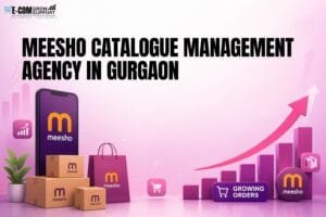 Meesho Catalogue Management in Gurgaon
