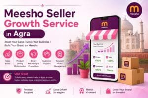 Meesho Seller Growth Service in Agra