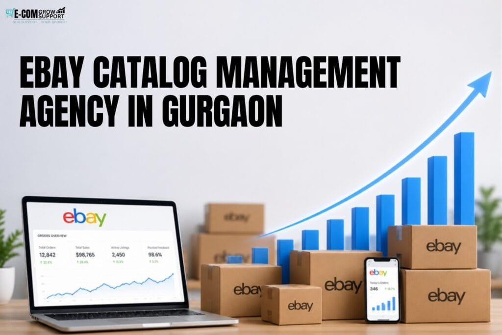 eBay Catalog Management Agency in Gurgaon